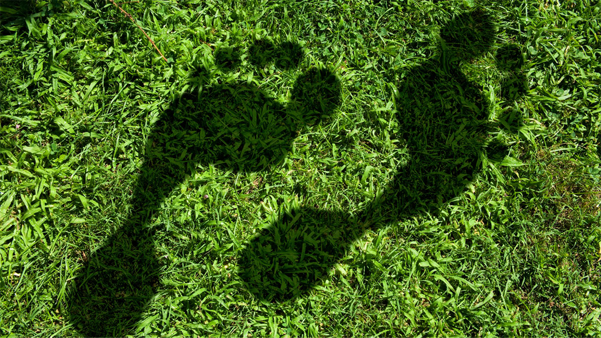 eco friendly living how heat pumps and solar panels reduce your carbon footprint