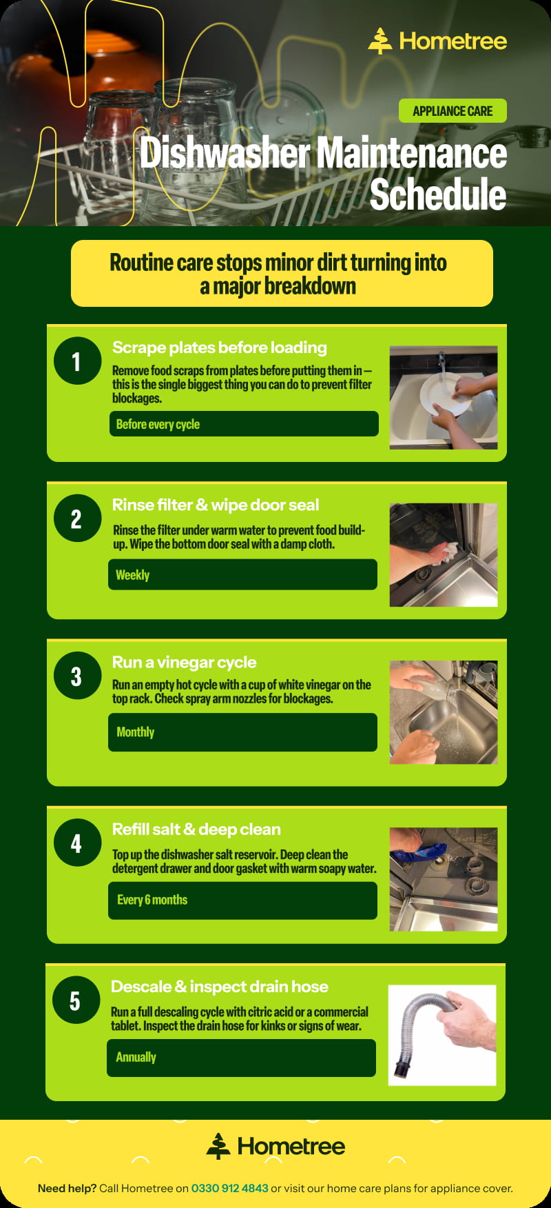An infographic showing a five-step dishwasher maintenance schedule: scraping plates before every cycle, rinsing the filter weekly, running a vinegar cycle monthly, refilling salt every six months, and descaling and inspecting the drain hose annually.