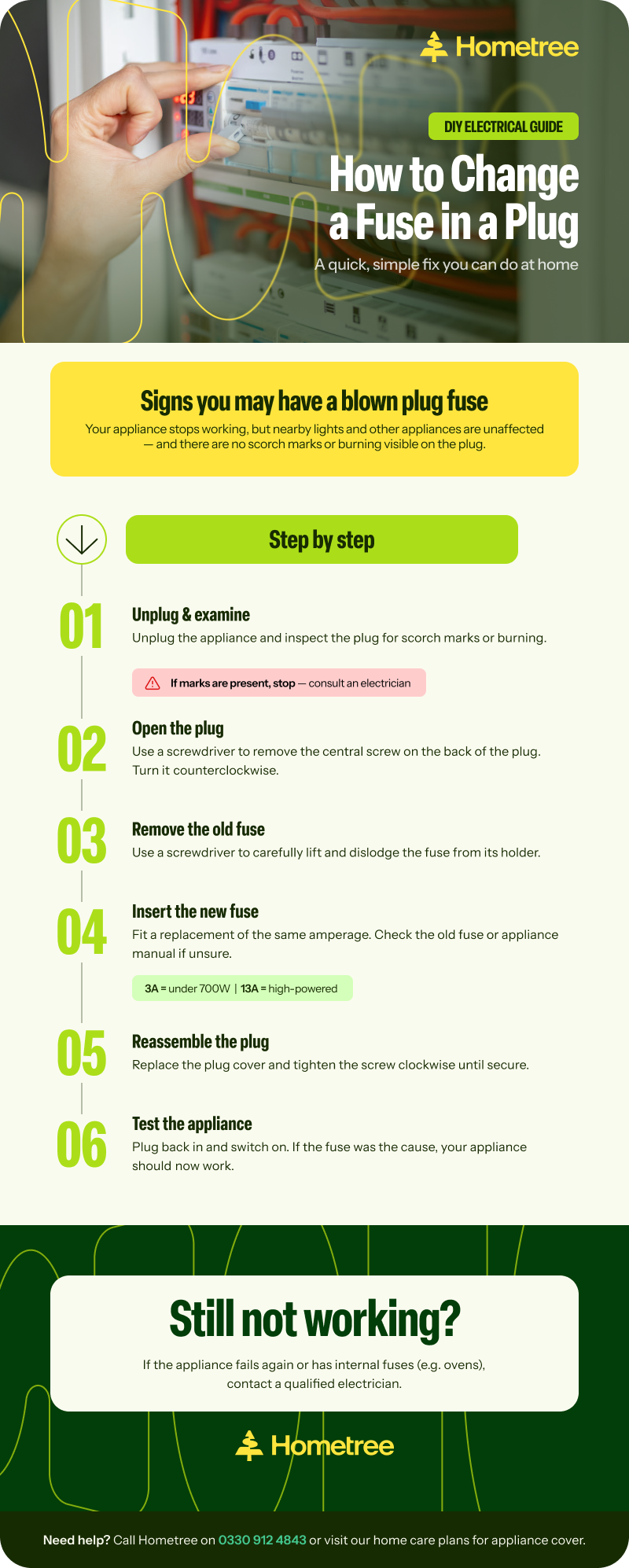 A Hometree DIY Electrical Guide infographic titled "How to Change a Fuse in a Plug: A quick, simple fix you can do at home." It first describes signs of a blown plug fuse: the appliance stops working while nearby lights and appliances are unaffected, with no scorch marks on the plug. Six numbered steps follow: (1) Unplug and examine — stop and consult an electrician if scorch marks are present; (2) Open the plug using a screwdriver turned counterclockwise; (3) Remove the old fuse using a screwdriver; (4) Insert a new fuse of the same amperage — 3A for under 700W appliances, 13A for high-powered ones; (5) Reassemble the plug; (6) Test the appliance. A closing note advises contacting a qualified electrician if the appliance still fails or has internal fuses.